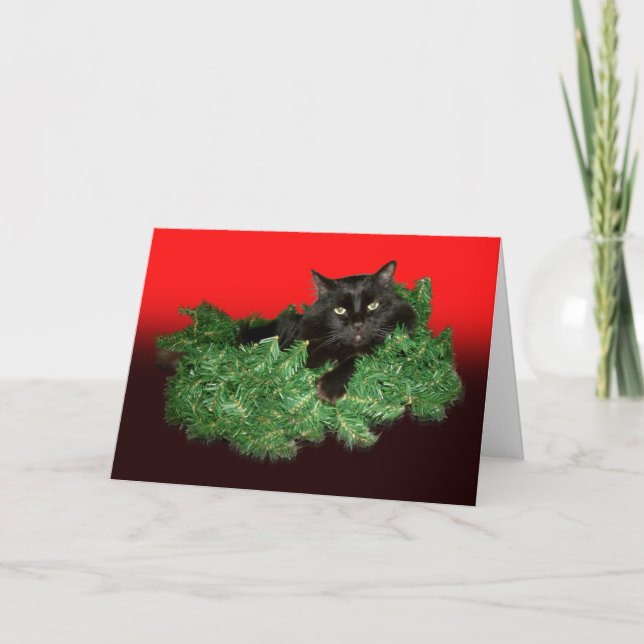Furry Cat Holiday Card (Front)
