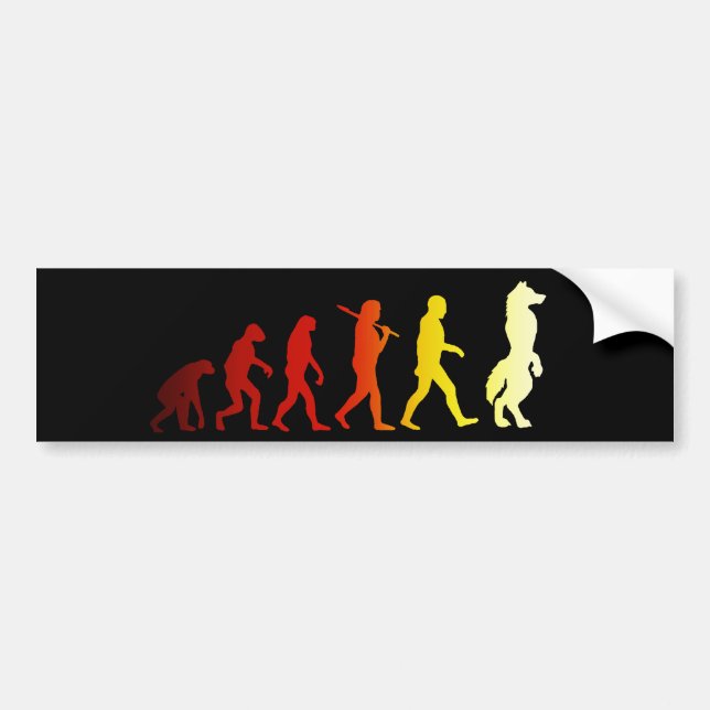 Furry evolution bumper sticker (Front)