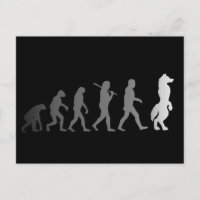 Furry evolution