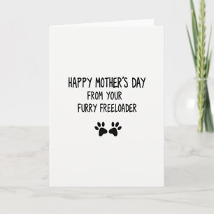 Furry Freeloader Mothers Day Card