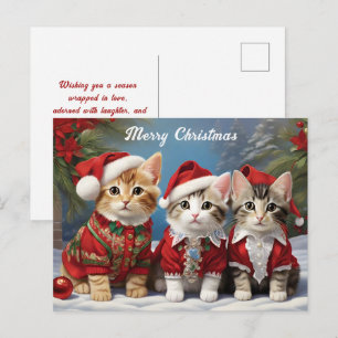 Furry Friends in Festive Hats Cute Cats Postcard
