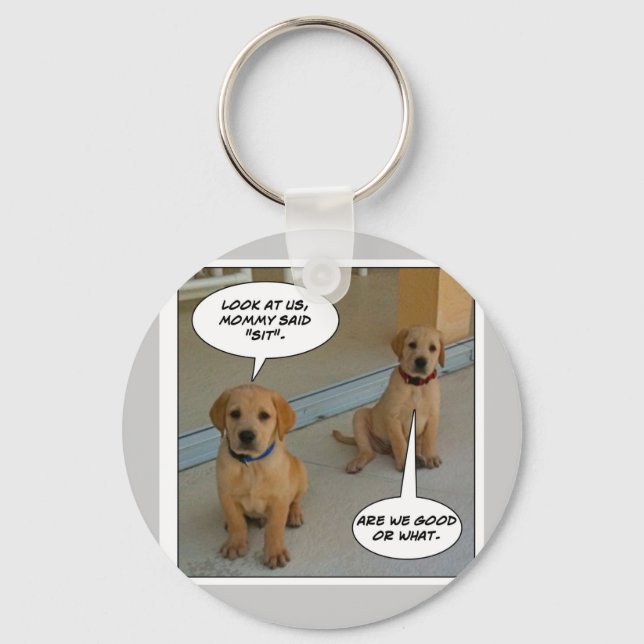 Furry Funnies "LAB PUPS?" Key Ring (Front)
