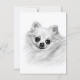 Furry Majesty - Original Hand Painted Chihuahua Postcard