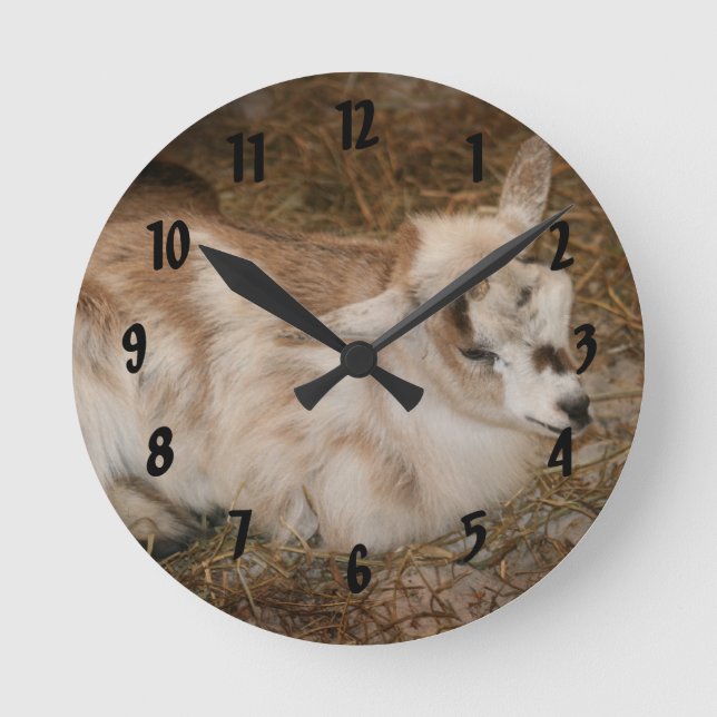 Furry small goat doeling baby right round clock (Front)
