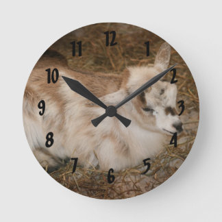 Furry small goat doeling baby right round clock