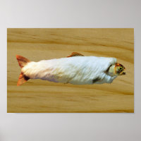 Furry Trout
