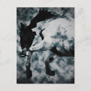 Fury Postcard