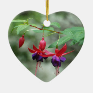 Fuschia1A.jpg Ceramic Tree Decoration