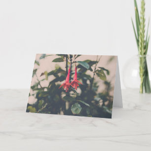 Fuschia Card