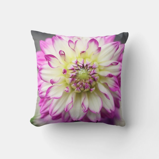 Fuschia Dahlia Flower Cushion (Front)