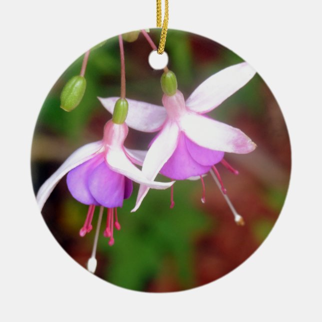 Fuschia Flowers Ceramic Tree Decoration (Front)