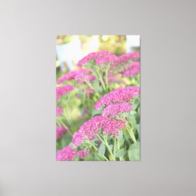 Fuschia Pink Flowered Canvas Print (Front)