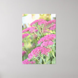 Fuschia Pink Flowered Canvas Print