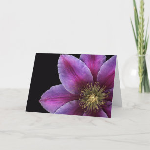 Fuscia Clematis Close-up Card