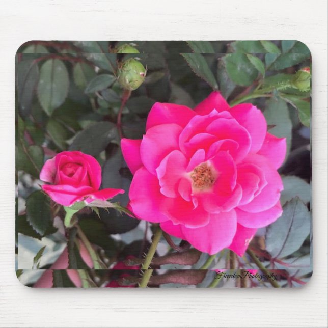 Fuscia Rose Mouse Pad (Front)