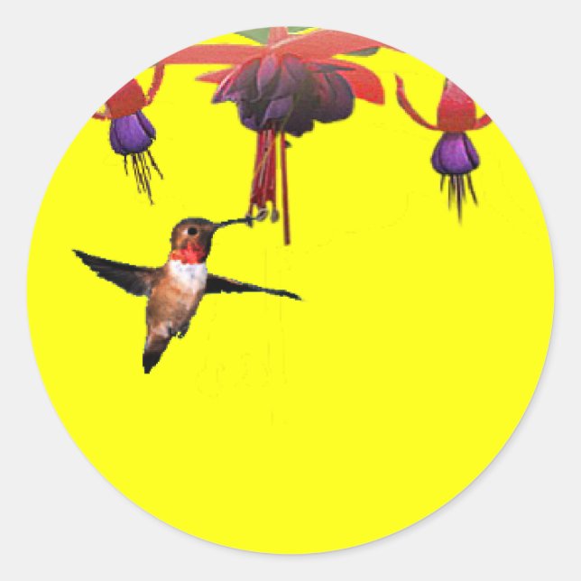 Fushia and Hummingbird Classic Round Sticker (Front)