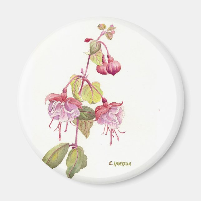 Fushia watercolor flower red and pink magnet (Front)