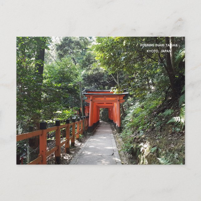 Fushimi Inari Taisha Temple Travel Kyoto Japan Postcard (Front)