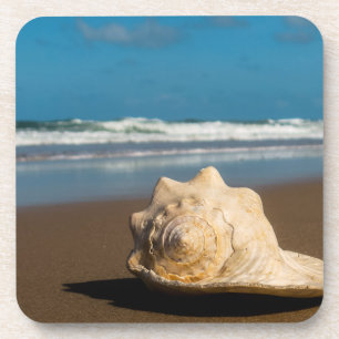 Future Beach Coaster