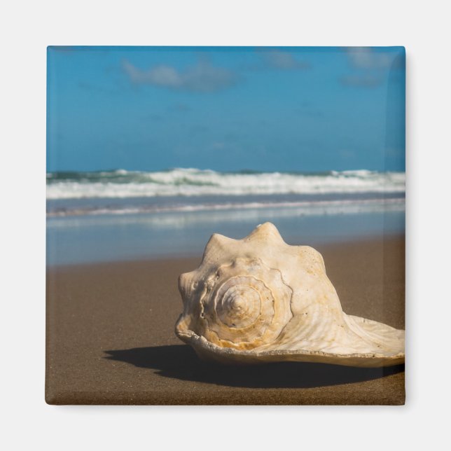 Future Beach Magnet (Front)