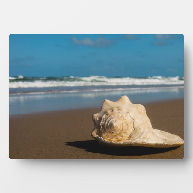 Future Beach Plaque (Front)