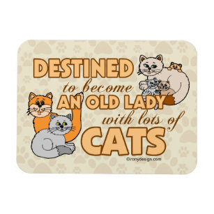 Future Crazy Cat Lady Funny Saying Design Magnet
