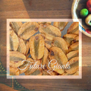 Future Giants, Giant Redwood Seeds Jigsaw Puzzle