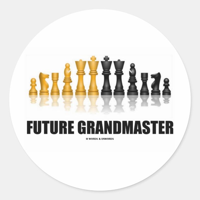 Future Grandmaster (Chess Set) Classic Round Sticker (Front)