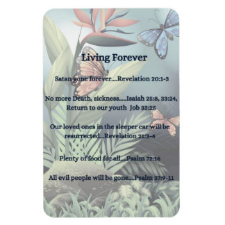 Future Promise Magnet