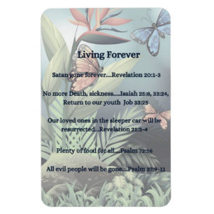 Future Promise Magnet