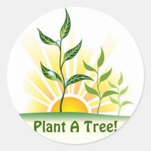 Future Trees Classic Round Sticker