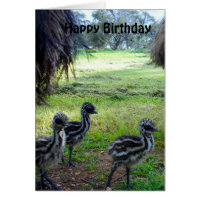 Fuzzy Baby Emu Chicks, Birthday Card