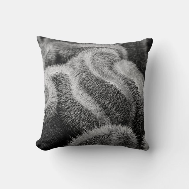 Fuzzy Black and White Throw Pillow (Front)