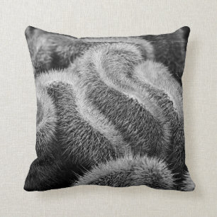 Fuzzy Black and White Throw Pillow