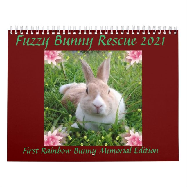 Fuzzy Bunny Rescue 2021 Calendar (Cover)