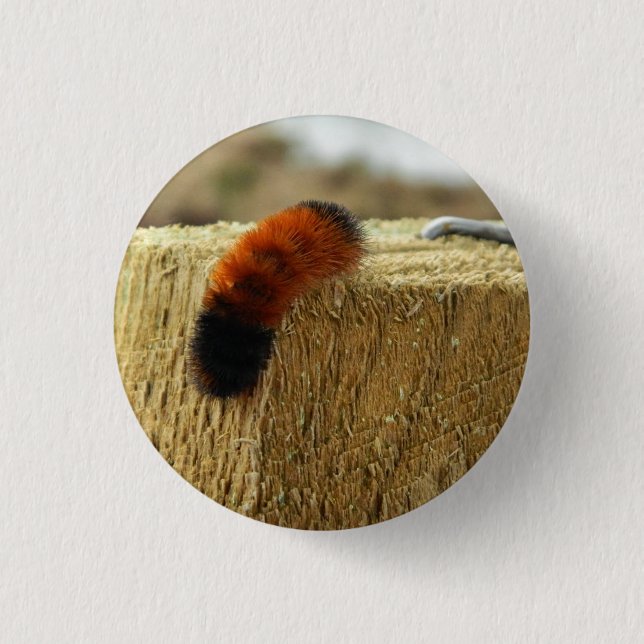 Fuzzy Caterpillar 3 Cm Round Badge (Front)