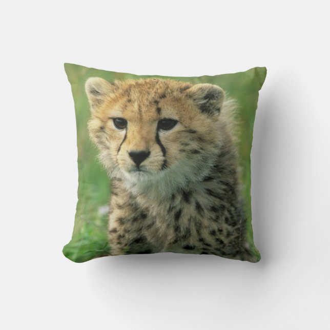Fuzzy Cheetah Cub Cushion (Front)