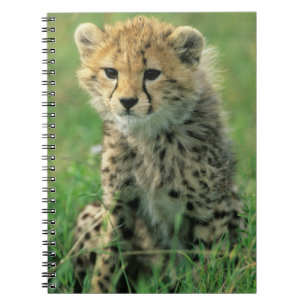 Fuzzy Cheetah Cub Notebook