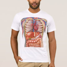 Fuzzy Express® Internal Organs Anatomy