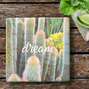 Fuzzy Green Cacti Succulent Photo Dream Script Stone Coaster