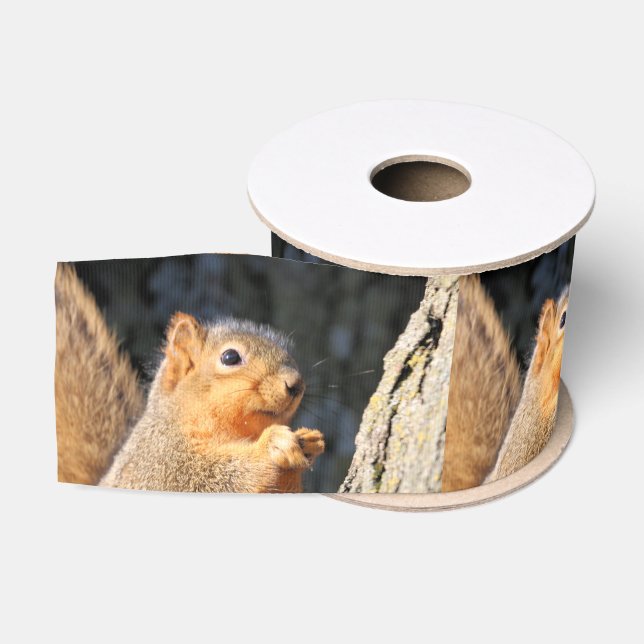 Fuzzy Grosgrain Ribbon (Spool)