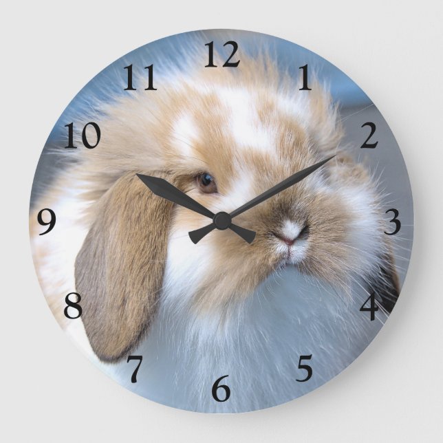 Fuzzy Holland Mini Dwarf Lop Bunny Rabbit Large Clock (Front)