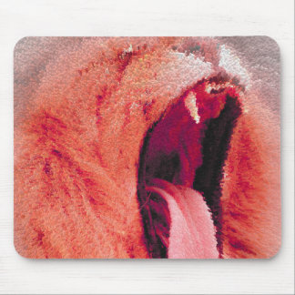 Fuzzy lions mouth mouse pad