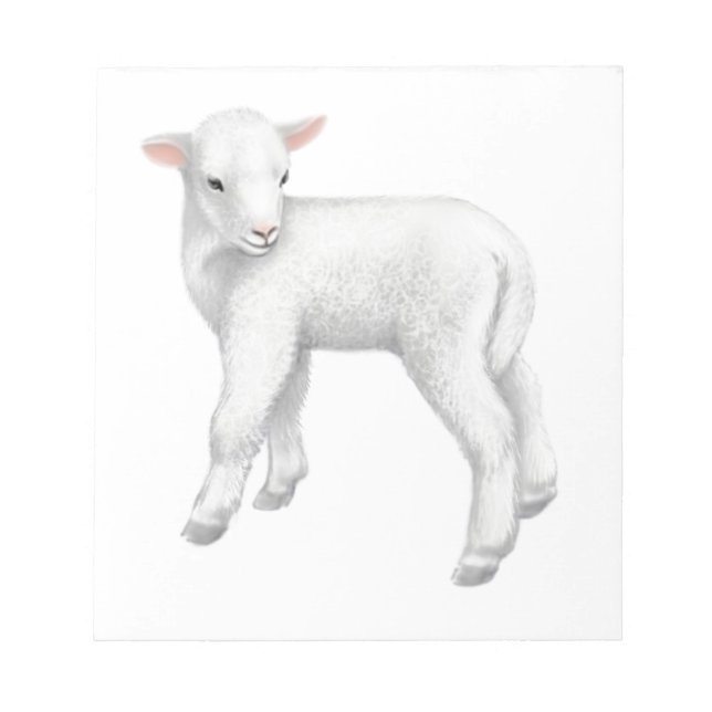 Fuzzy Little Lamb Notepad (Front)