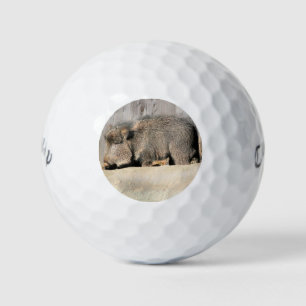 Fuzzy piggies golf balls