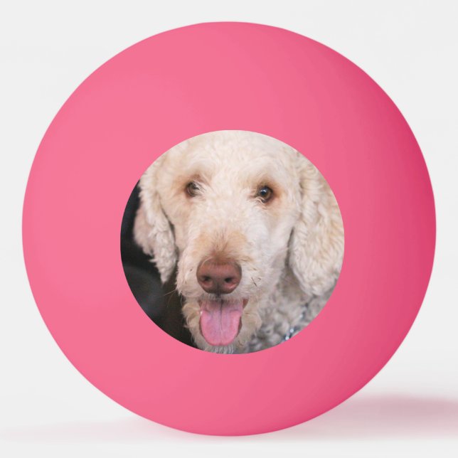 Fuzzy     ping pong ball (Front)