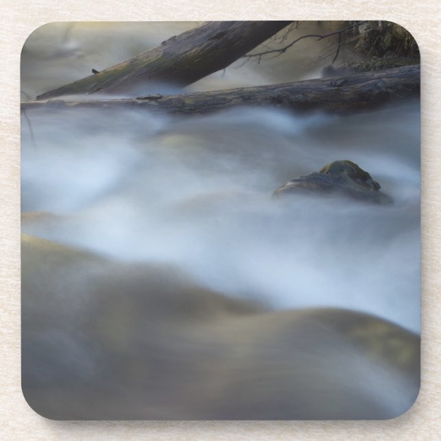 Fuzzy Water 6 Cork Coaster (Front)