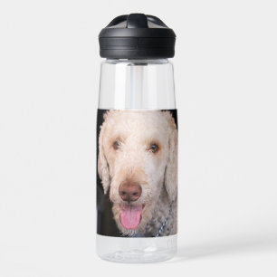 Fuzzy water bottle