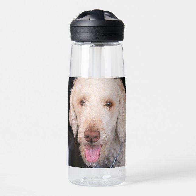Fuzzy  water bottle (Front)