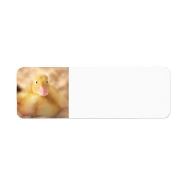Fuzzy Yellow Duck Easter Baby Duckling (Front)